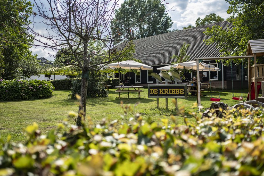 De kribbe jpg
