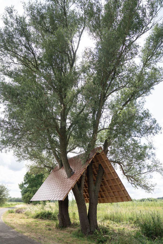 Gijsvanvaerenbergh20230626 0030 min