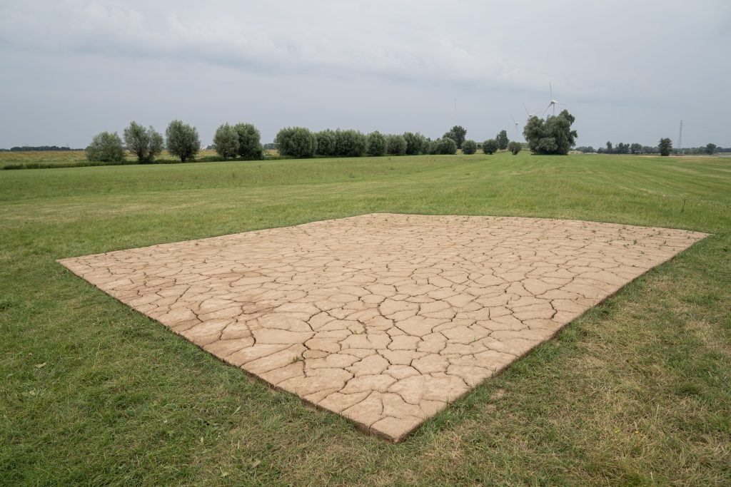 Sidselbonde20230622 0021 min