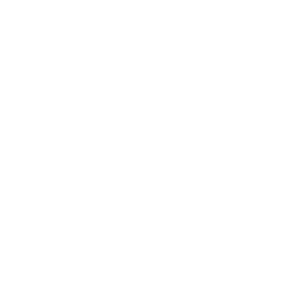 Gemeente bronckhorst