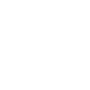 Gemeente brummen