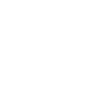 Wesselings van breemen wit