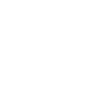 Zwolle wit
