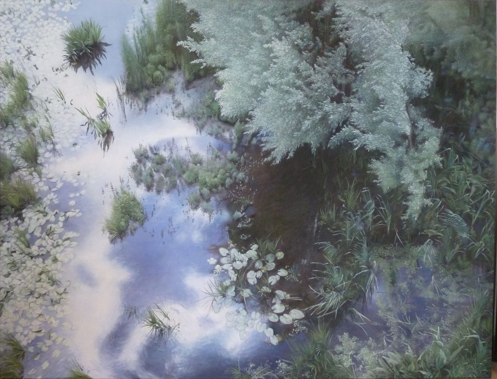 2009 b bandijk to nr 49 120 x 160 cm groot