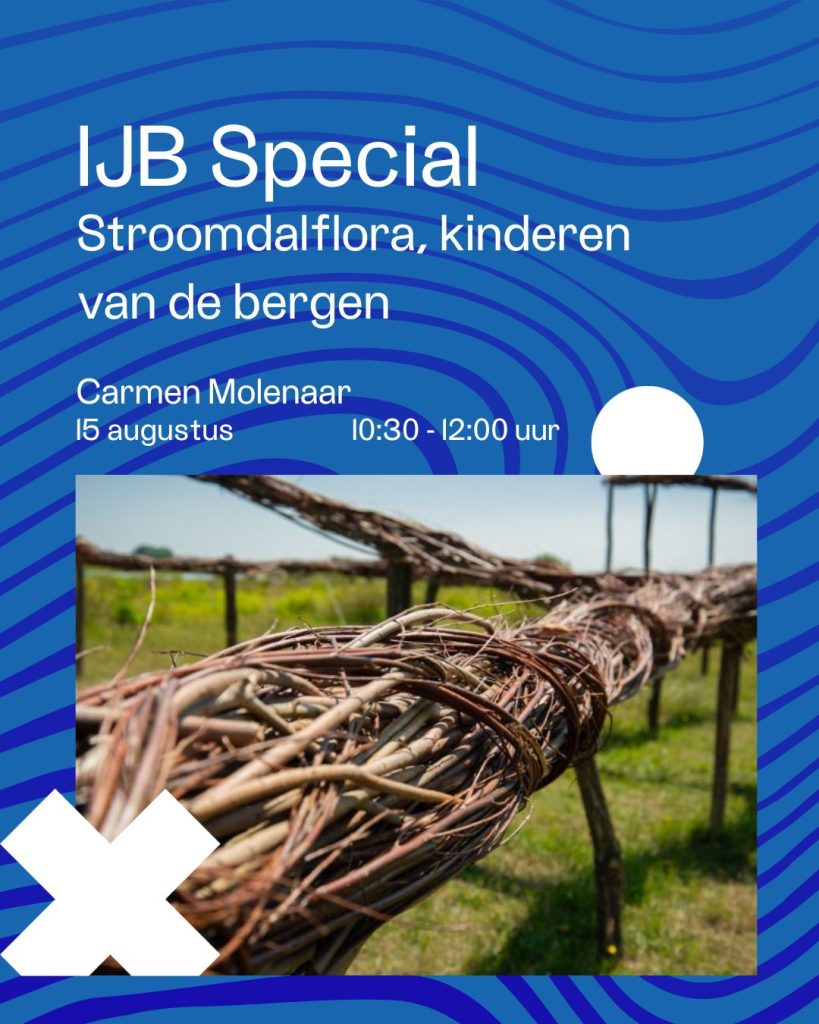 Ijb special carmen molenaar (2)